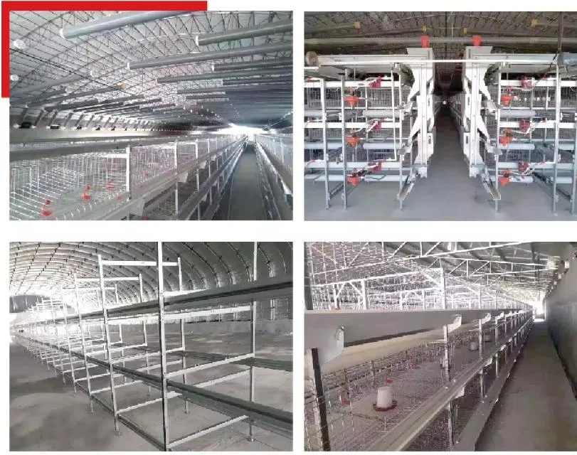 Egg Layer/Broiler Poultry Farm Equipment with Automatic Feedwater Line/Ventilation Cooling/Boiler