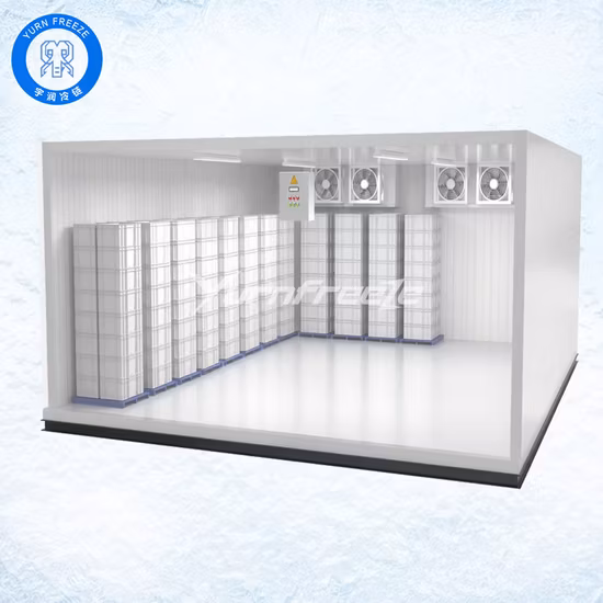 Cold Storage Unit Cooling System Blast Freezer Equipment